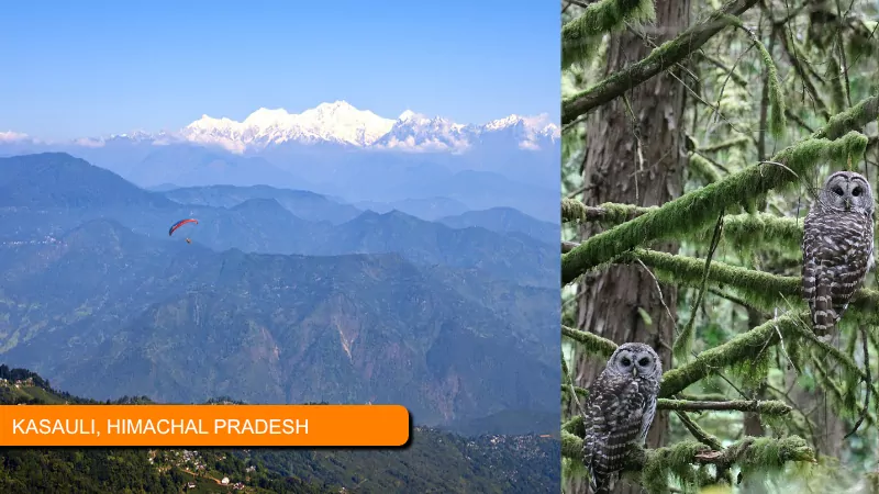 Best Places to Visit in Himachal Pradesh - Route - Timing - Prices