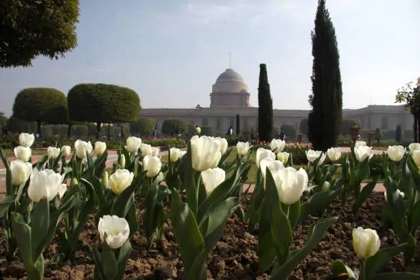 Rectangular garden - Mugal Garden, Delhi
